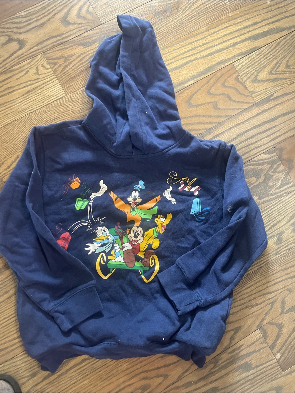 Disney Navy Blue Holiday Mickey & Friends Hoodie
